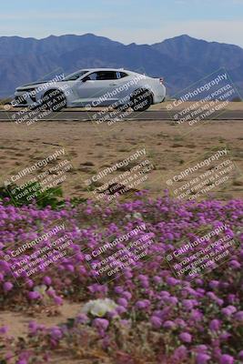 media/Jan-08-2023-SCCA SD (Sun) [[8f6a5b9391]]/Advanced Group/Session 2 (Short Straight)/